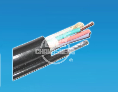 ��܇������|